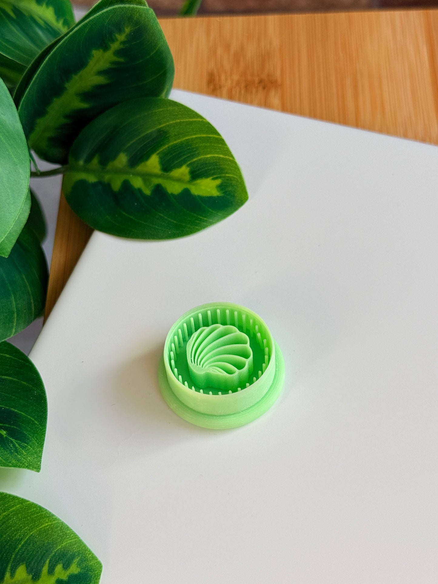 Dot Framed Clam Shell Cutter | Polymer Clay Cutters