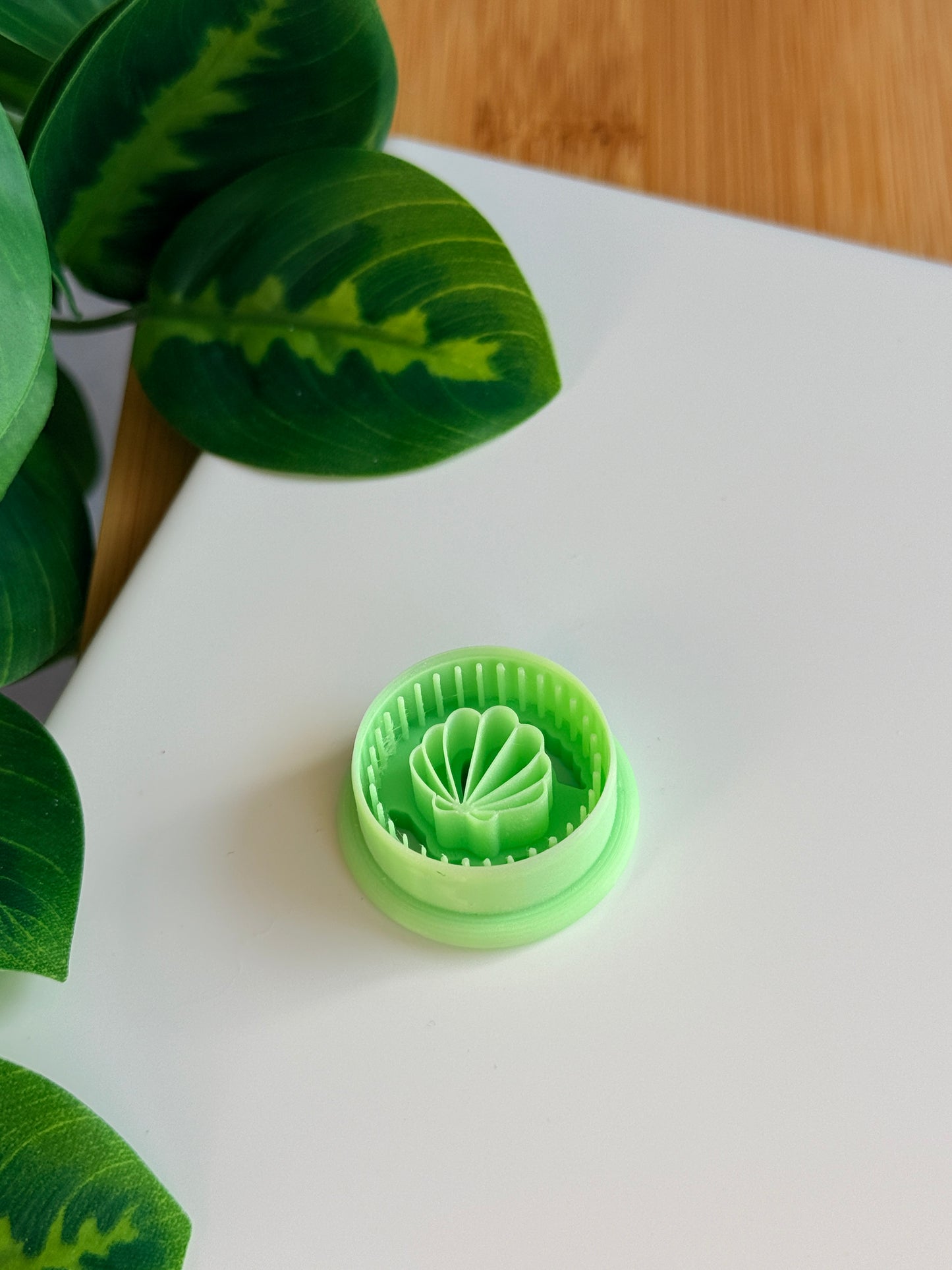 Dot Framed Scallop Shell Cutter | Polymer Clay Cutters