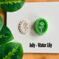 Framed Birth Month Flower Cutter | Polymer Clay Cutters